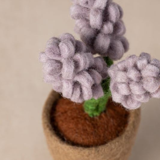 Felted Flower Pot - Hyacinth