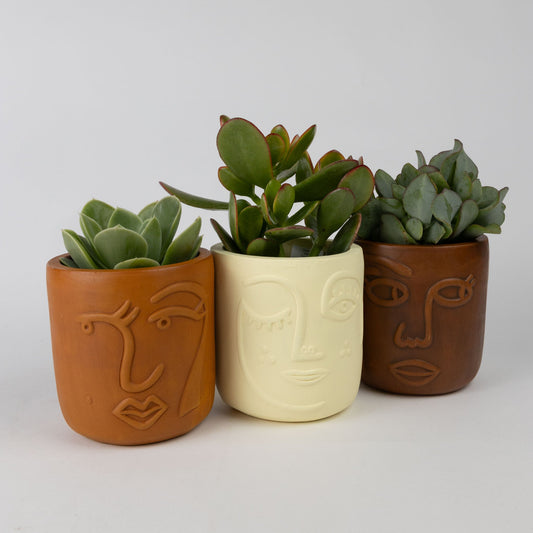 Terracotta Face Planter Trio