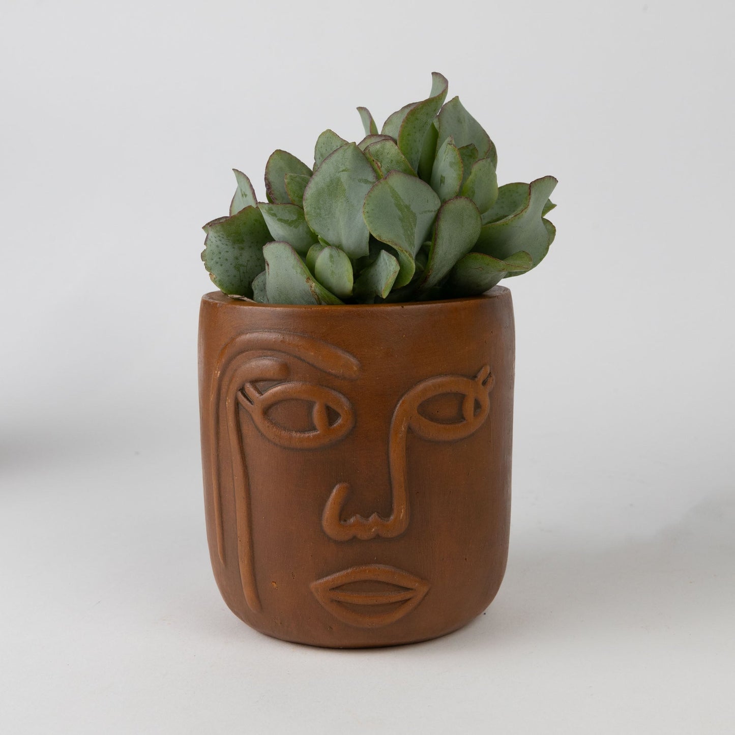 Terracotta Face Planter Trio