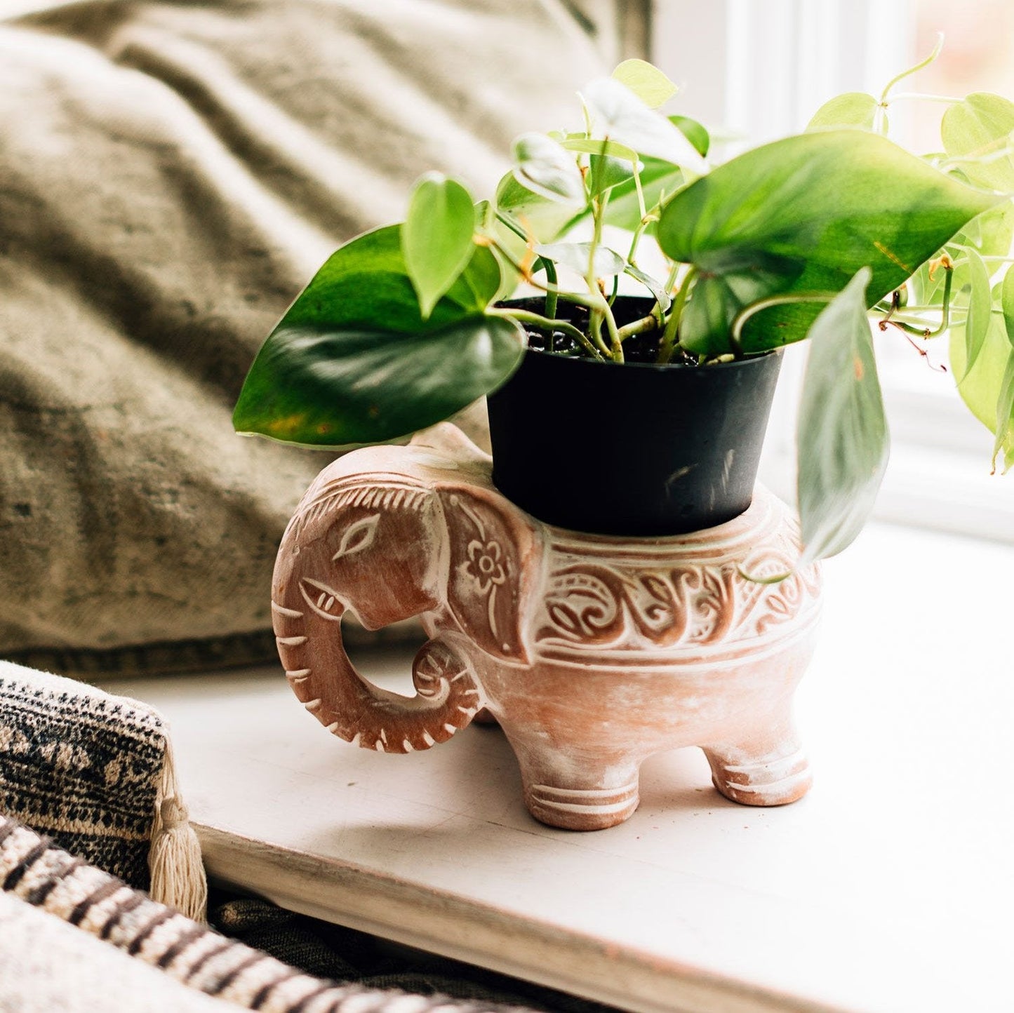 Potted Plant Pet Bundle