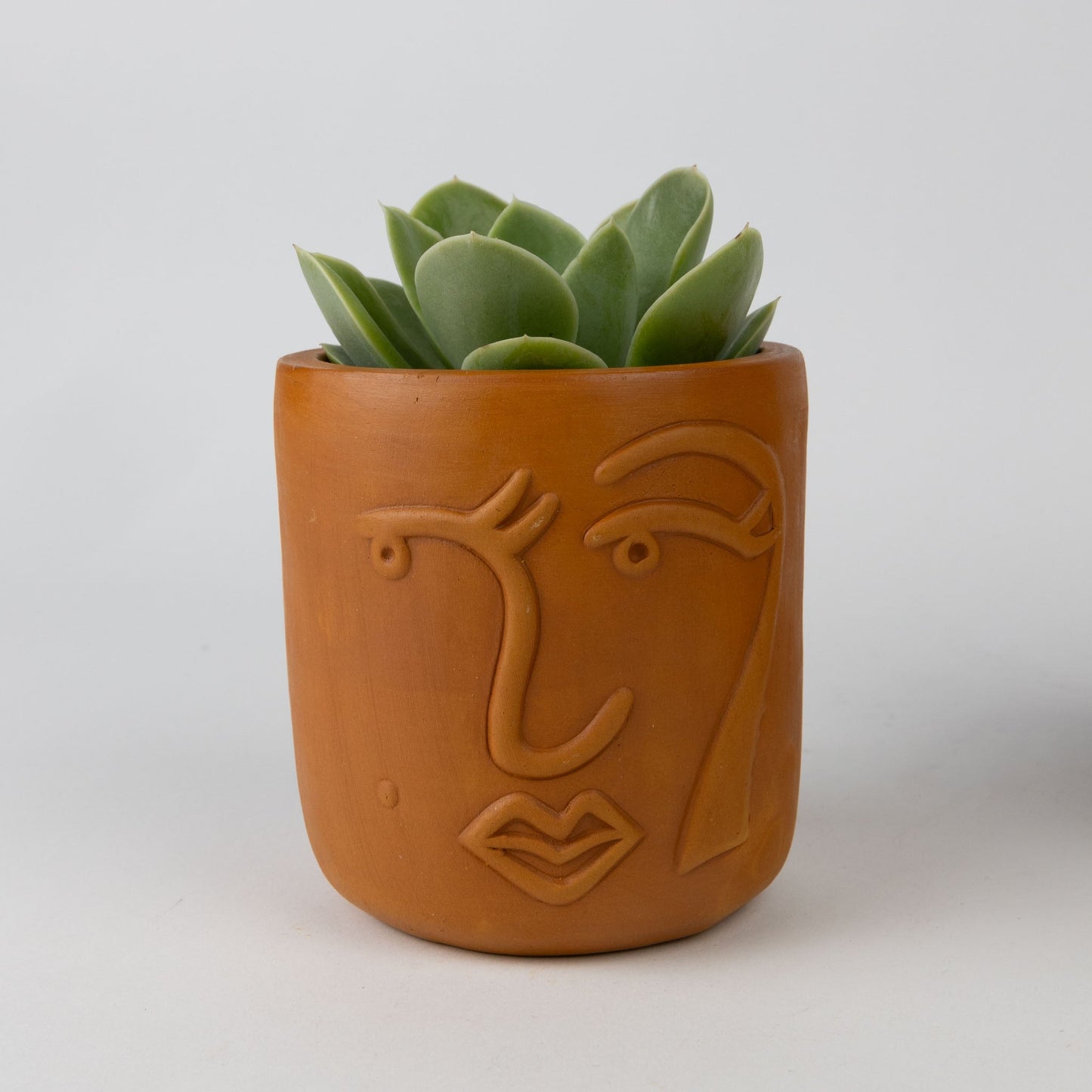 Terracotta Face Planter Trio