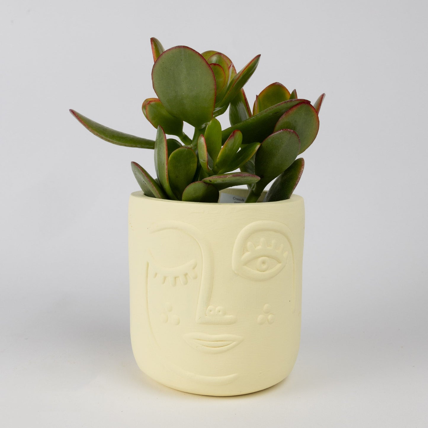 Terracotta Face Planter Trio