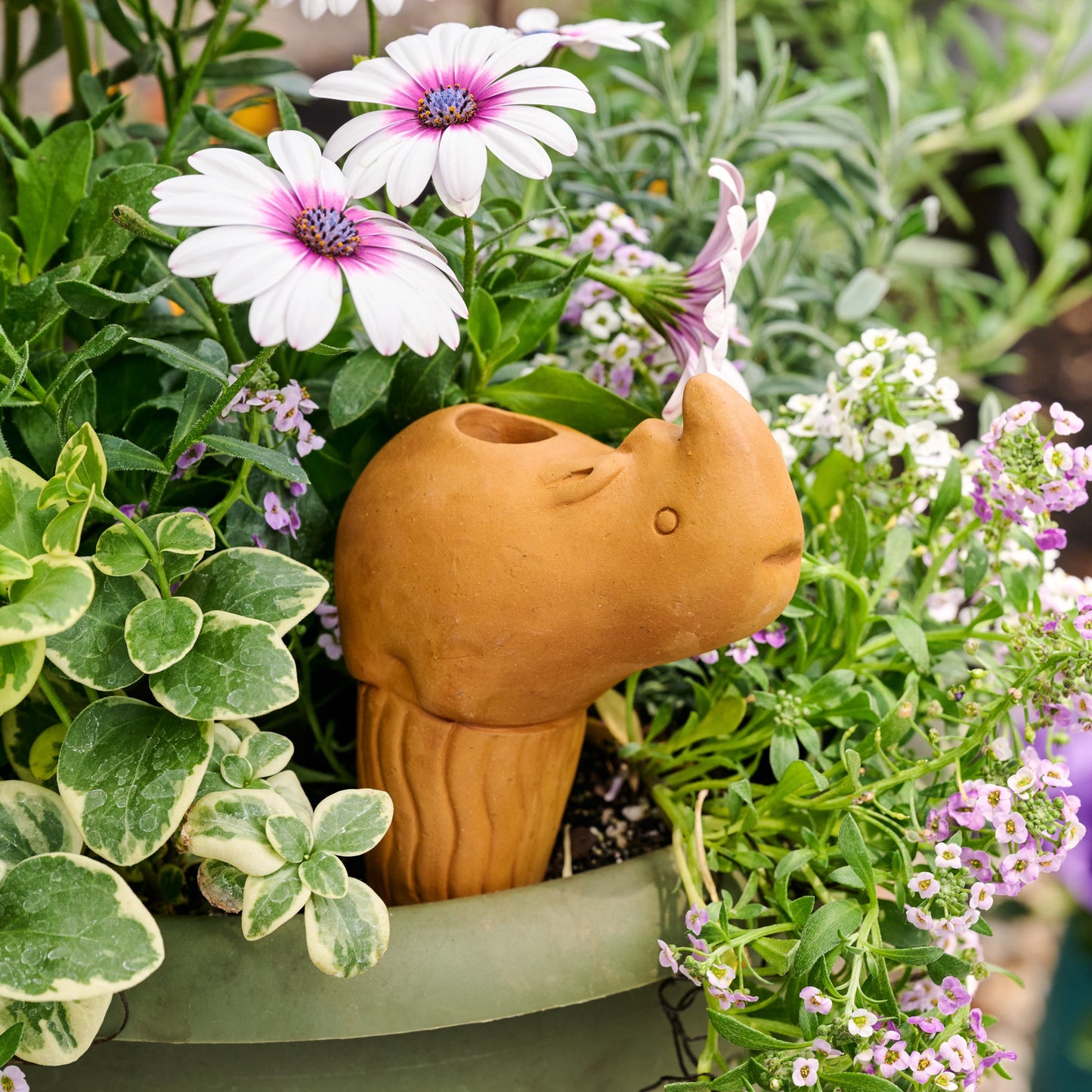 Self-Watering Rhino Plant Pet