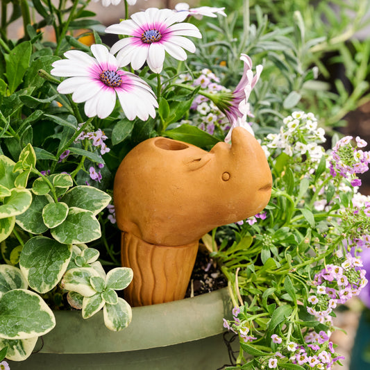 Self-Watering Rhino Plant Pet
