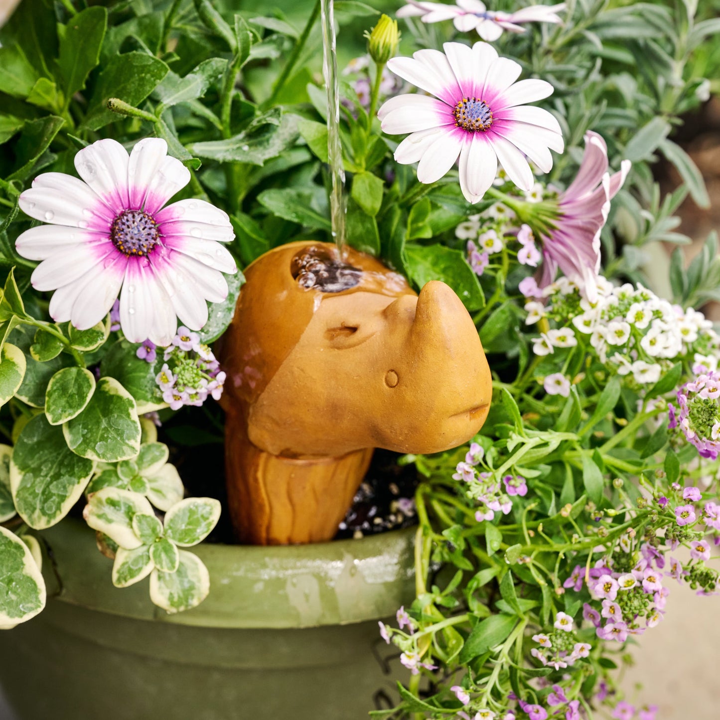 Self-Watering Rhino Plant Pet