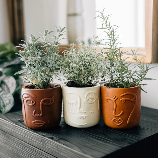 Terracotta Face Planter Trio